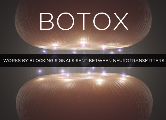how-botox-works